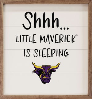 Shhh Little Minnesota State University Mankato